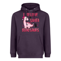 Plum i believe in santa & dinosaurs pink Heavyweight Hoodie - MaliasSmallBusiness