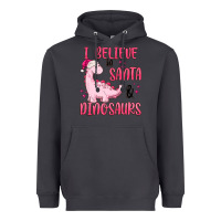 Smoke i believe in santa & dinosaurs pink Heavyweight Hoodie - MaliasSmallBusiness