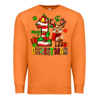 Carrot my first christmas reindeer Premium Sweatshirt - MaliasSmallBusiness