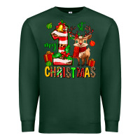 Sports Green my first christmas reindeer Premium Sweatshirt - MaliasSmallBusiness