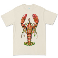 Bone lobster Premium Tee - BarkalooDesign