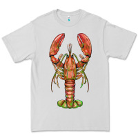 Dove Grey lobster Premium Tee - BarkalooDesign