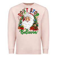 Pale Pink Don't stop believin' Premium Sweatshirt - NancyCooperArtShop