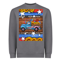 Storm american truck air freshener Heavyweight Sweatshirt - HRA Design Shop