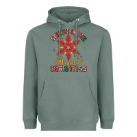 Sage believe in the magic of christmas Heavyweight Hoodie - MaliasSmallBusiness