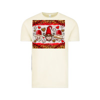Vintage Arctic baseball gnome Vintage Tee - HRA Design Shop