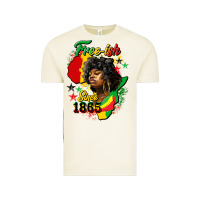 Vintage Arctic free ish since 1865 Vintage Tee - HRA Design Shop
