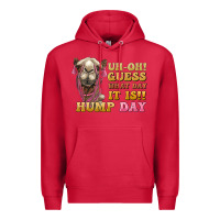 Cardinal guess what day it is hump day camel Premium Hoodie - BarkalooDesign