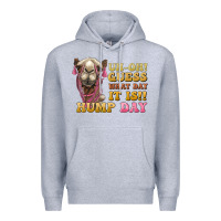 Heather Grey guess what day it is hump day camel Premium Hoodie - BarkalooDesign