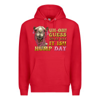 Red guess what day it is hump day camel Premium Hoodie - BarkalooDesign