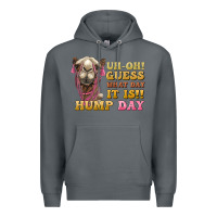 Rock guess what day it is hump day camel Premium Hoodie - BarkalooDesign