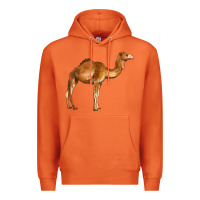 Carrot camel Premium Hoodie - BarkalooDesign