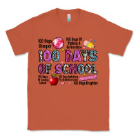 Copper 100 days of school Classic Tee - LillyAllenDesigns