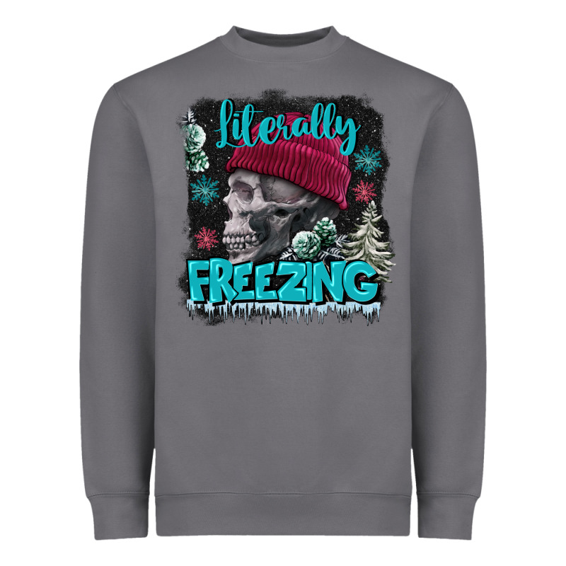 Literally Freezing Skull Heavyweight Sweatshirt by FaDigitalArtStudio | Teevron