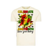 Vintage Arctic celebrate juneteenth know your history Vintage Tee - HRA Design Shop
