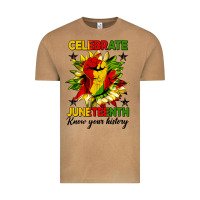 Vintage Camel celebrate juneteenth know your history Vintage Tee - HRA Design Shop