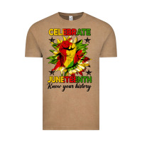 Celebrate Juneteenth Know Your History Vintage Tee | Teevron
