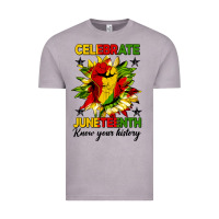 Vintage Zinc celebrate juneteenth know your history Vintage Tee - HRA Design Shop
