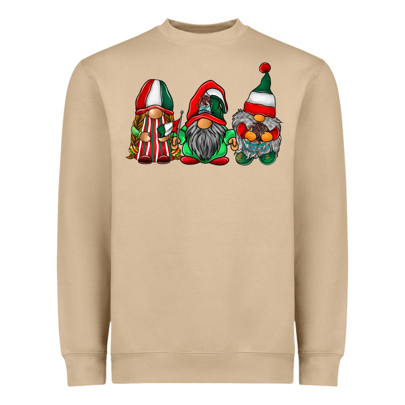 Mexican Flag Gnomes Heavyweight Sweatshirt by RacoonDesign | Teevron