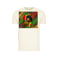 Vintage Arctic free ish since 1865 Vintage Tee - HRA Design Shop
