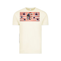 Vintage Arctic patriotic native american headdress 16oz libbey cup Vintage Tee - HRA Design Shop