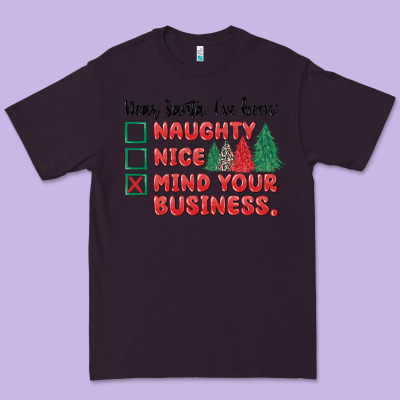 Premium Tee dear santa ive been