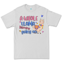 Dove Grey a whole llama learning going on Premium Tee - MaliasSmallBusiness
