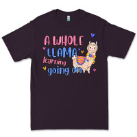 A Whole Llama Learning Going On Premium Tee | Teevron