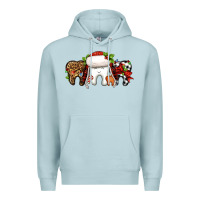 Blue Mist Christmas teeth dentist Premium Hoodie - Jasminsmagicworld
