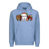 Christmas Teeth Dentist Premium Hoodie | Teevron