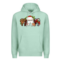 Seafoam Christmas teeth dentist Premium Hoodie - Jasminsmagicworld