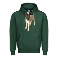 Sports Green dorper baby sheep Zipper Hoodie - LillyAllenDesigns