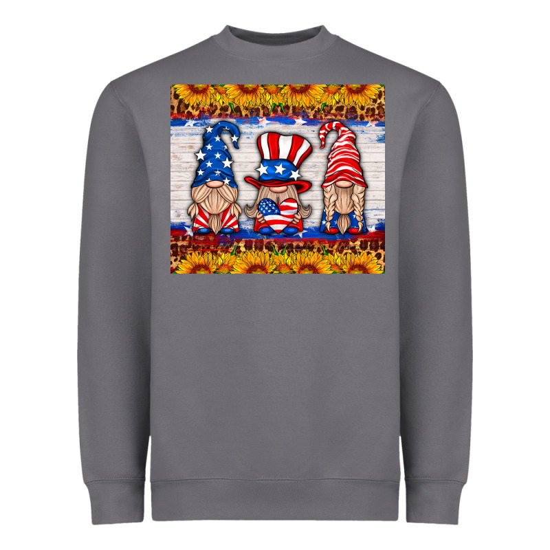 Usa Gnome Heavyweight Sweatshirt by HRA Design Shop | Teevron