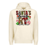 Tofu santa's favorite rt respiratory therapist Premium Hoodie - Jasminsmagicworld