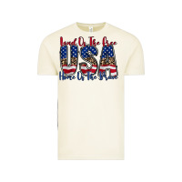 Vintage Arctic land of the free usa Vintage Tee - RacoonDesign