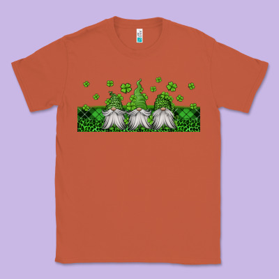 St Patricks Gnomes Classic Tee Designed By Jasminsmagicworld