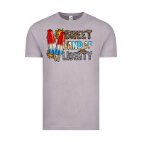 Vintage Zinc sweet land of liberty Vintage Tee - RacoonDesign