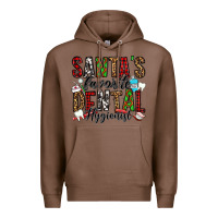 Chestnut santa's favorite dental hygienist Premium Hoodie - Jasminsmagicworld