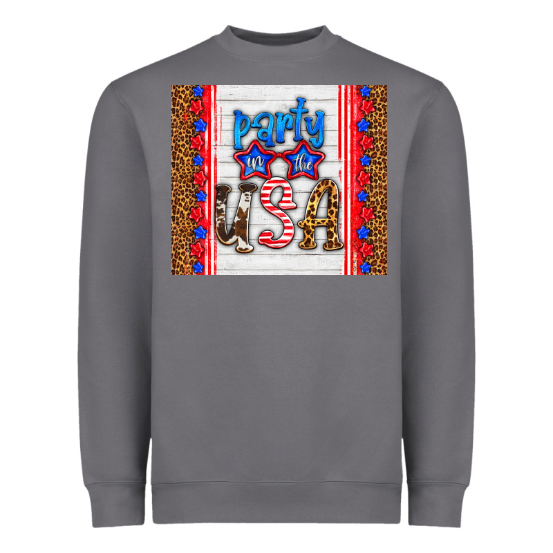 Party In The Usa Heavyweight Sweatshirt by HRA Design Shop | Teevron