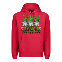 Cardinal shenanigans with my gnomies st patricks day gnomes Premium Hoodie - Jasminsmagicworld