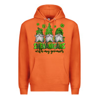 Carrot shenanigans with my gnomies st patricks day gnomes Premium Hoodie - Jasminsmagicworld