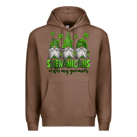 Chestnut shenanigans with my gnomies st patricks day gnomes Premium Hoodie - Jasminsmagicworld