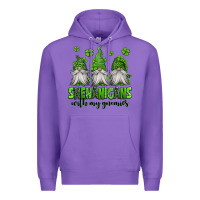 Purple shenanigans with my gnomies st patricks day gnomes Premium Hoodie - Jasminsmagicworld