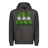 Smoke shenanigans with my gnomies st patricks day gnomes Premium Hoodie - Jasminsmagicworld