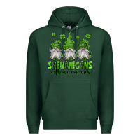 Sports Green shenanigans with my gnomies st patricks day gnomes Premium Hoodie - Jasminsmagicworld