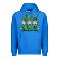 True Royal shenanigans with my gnomies st patricks day gnomes Premium Hoodie - Jasminsmagicworld