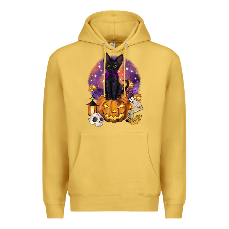 Halloween Black Cat Pumpkin Premium Hoodie by BarkalooDesign | Teevron