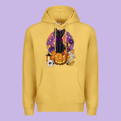 Halloween Black Cat Pumpkin Premium Hoodie Designed By Barkaloodesign