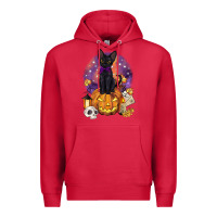Cardinal halloween black cat pumpkin Premium Hoodie - BarkalooDesign