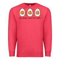 Cardinal you know why i'm here Premium Sweatshirt - MaliasSmallBusiness
